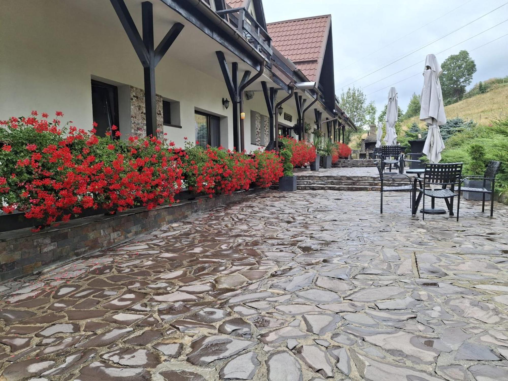 Contele Vladimir Hotel Bran  Eksteriør billede